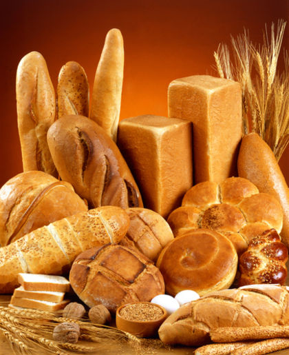 Bread Bakery Business Plan 437